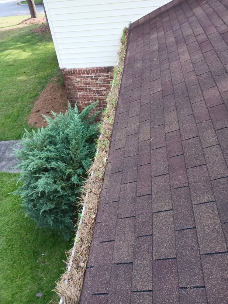 Trusted yard maintenance in Stone Mountain, GA - Total Home & Lawn Care