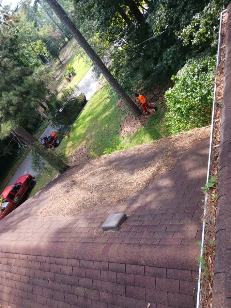 Local yard cleanup service in Stone Mountain, GA - Total Home & Lawn Care