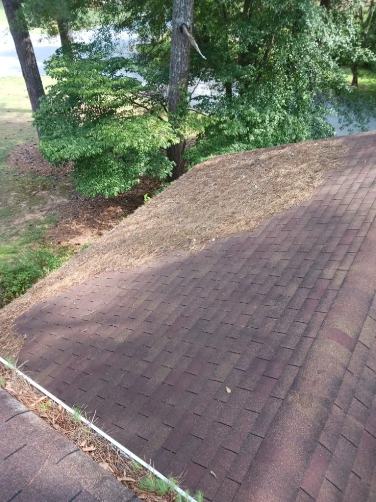 Local outdoor landscaping experts serving Stone Mountain, GA - Total Home & Lawn Care