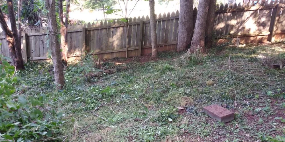 Expert lawn mowing service for homes across Stone Mountain, GA - Total Home & Lawn Care