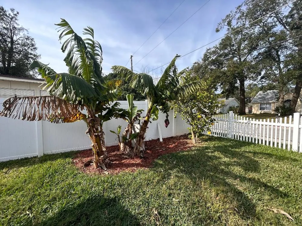 Custom lawn mowing service in Oviedo, FL by Total Home & Lawn Defense