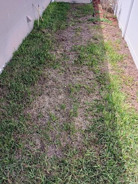 Reliable residential landscaping near you across Oviedo, FL - Total Home & Lawn Defense