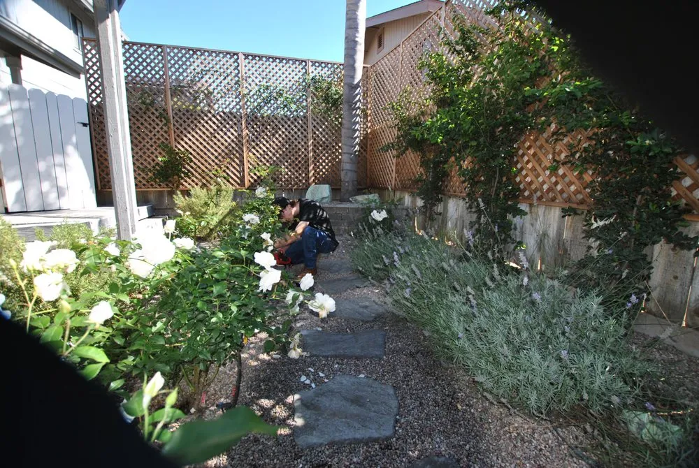 Top-rated yard maintenance in Grover Beach, CA by Total Home Care and Concierge