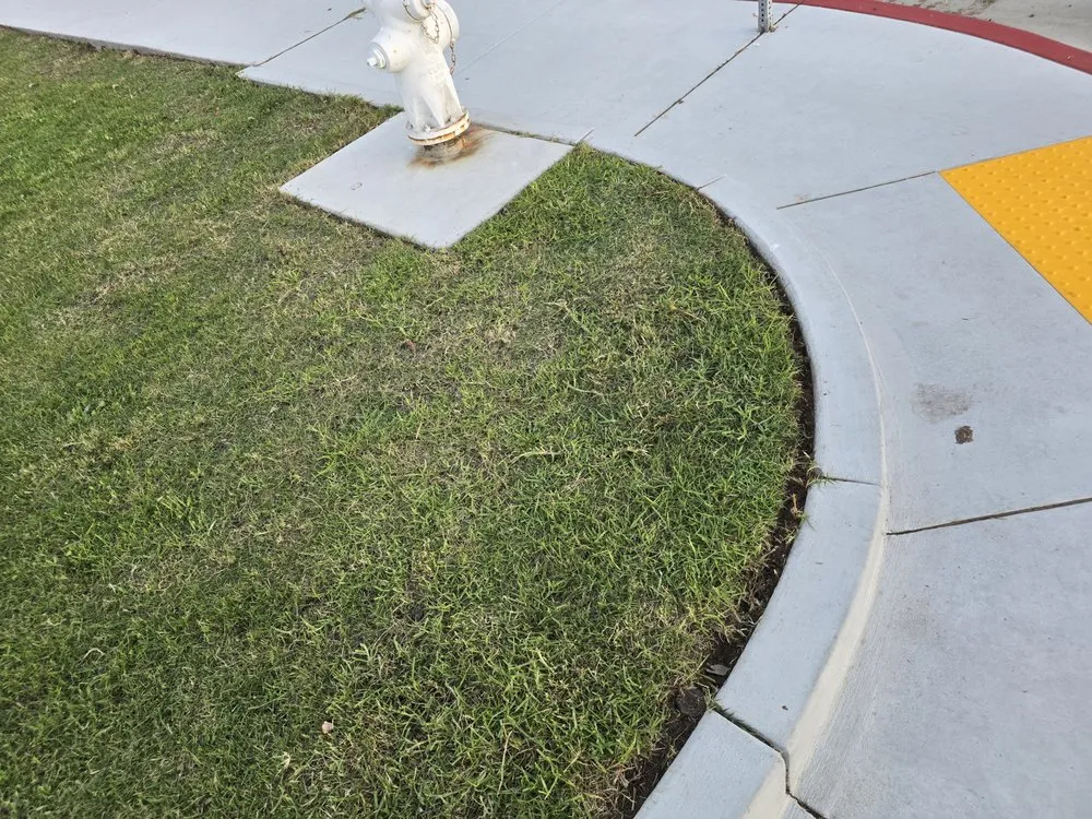 Local yard maintenance for residential properties across Grover Beach, CA - Total Home Care and Concierge