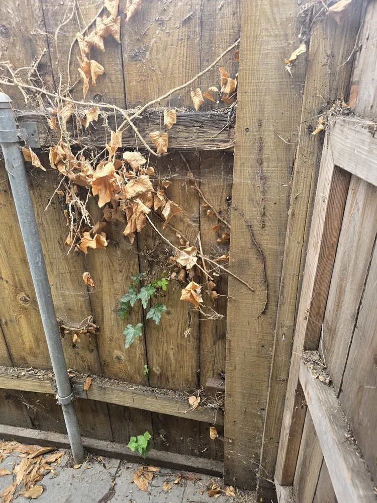 Trusted outdoor landscaping for homes in Grover Beach, CA by Total Home Care and Concierge