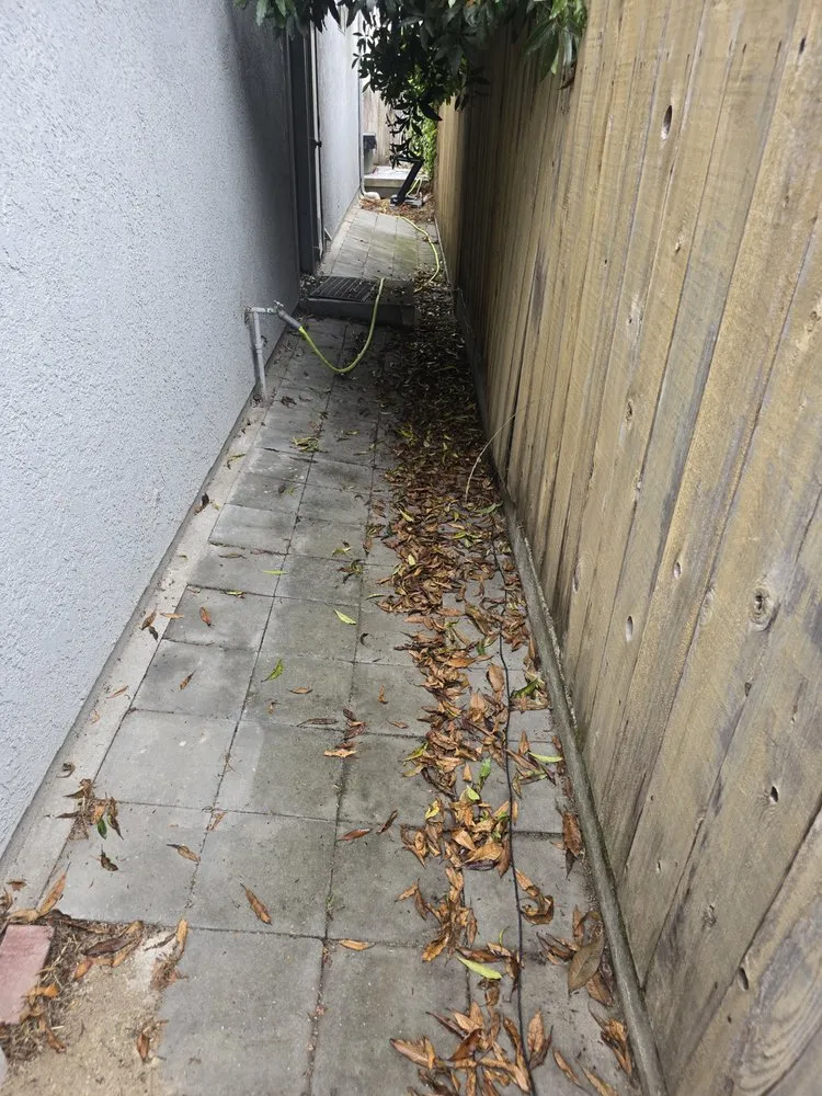 Expert yard maintenance for year-round maintenance in Grover Beach, CA by Total Home Care and Concierge