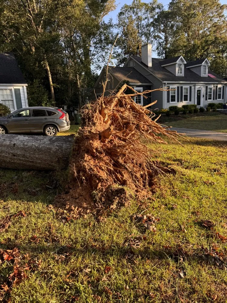 Affordable lawn care service in Greenwood, SC by Total Home Care