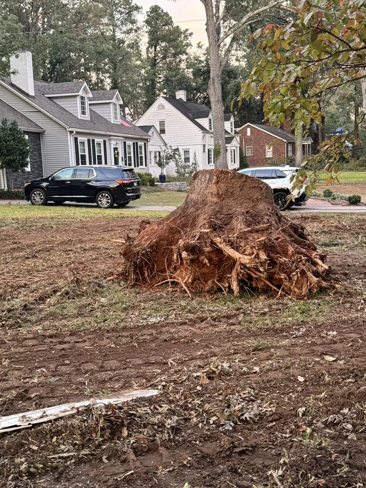 Professional landscape design experts serving Greenwood, SC - Total Home Care