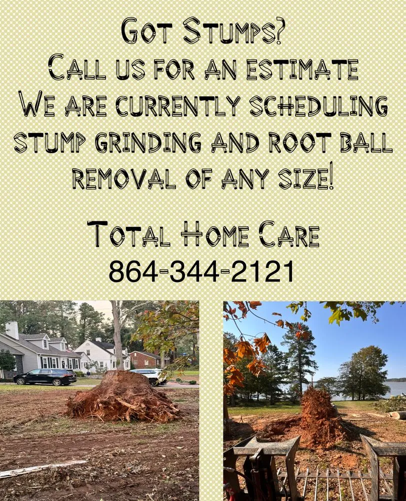 Affordable yard maintenance in Greenwood, SC by Total Home Care
