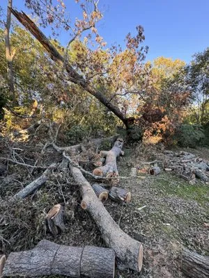 Total Home Care Logo