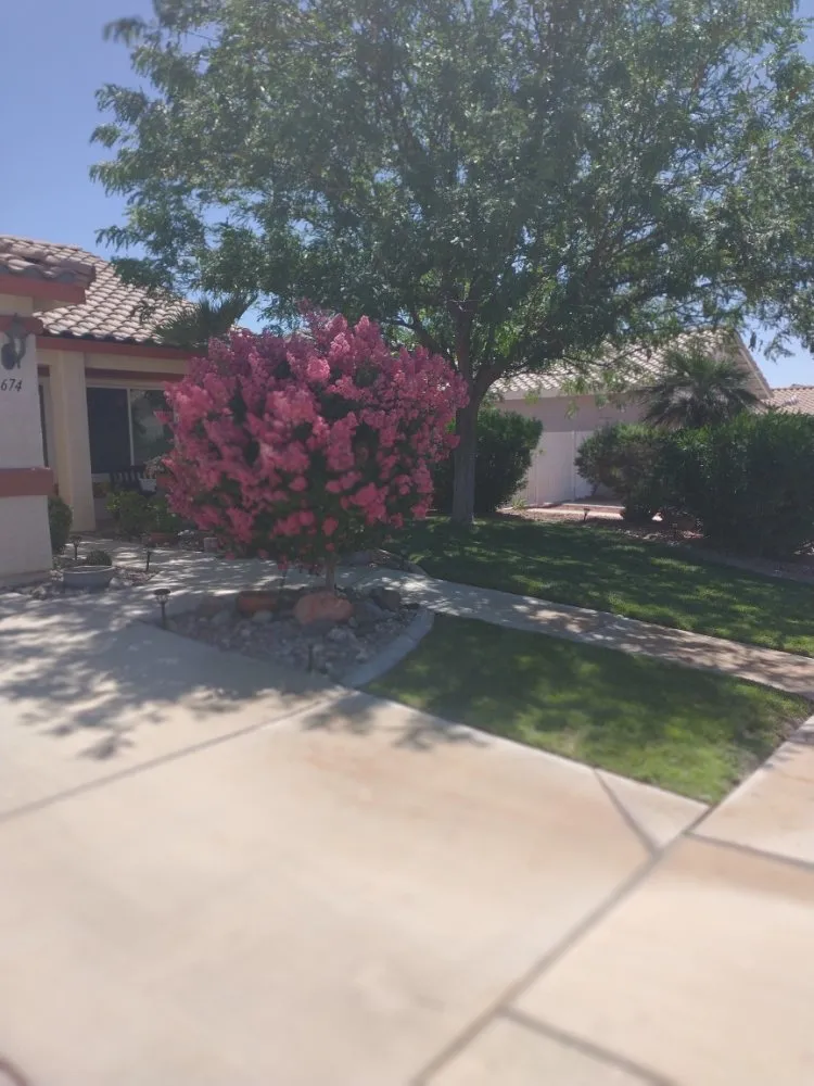Custom landscape design in Mesquite, NV - Total Home Care