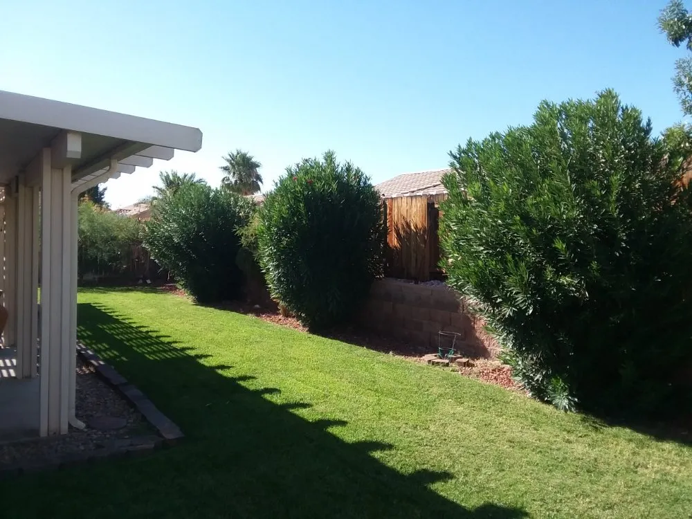 Expert lawn care service for year-round maintenance in Mesquite, NV by Total Home Care