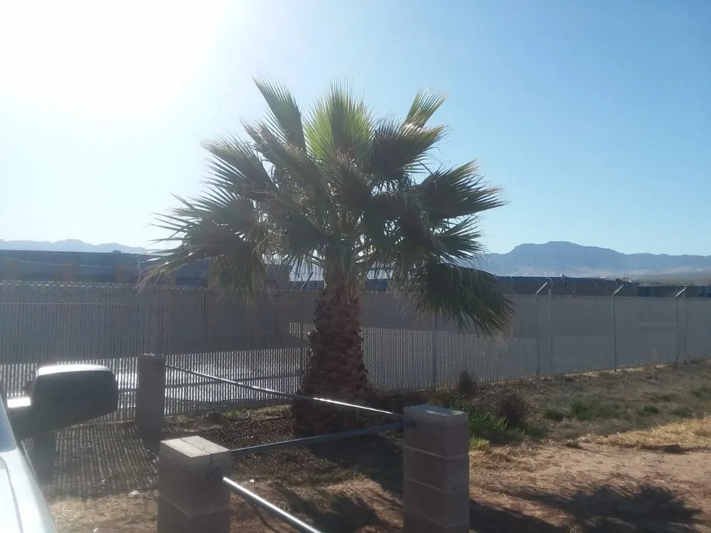 Professional lawn care service in Mesquite, NV - Total Home Care