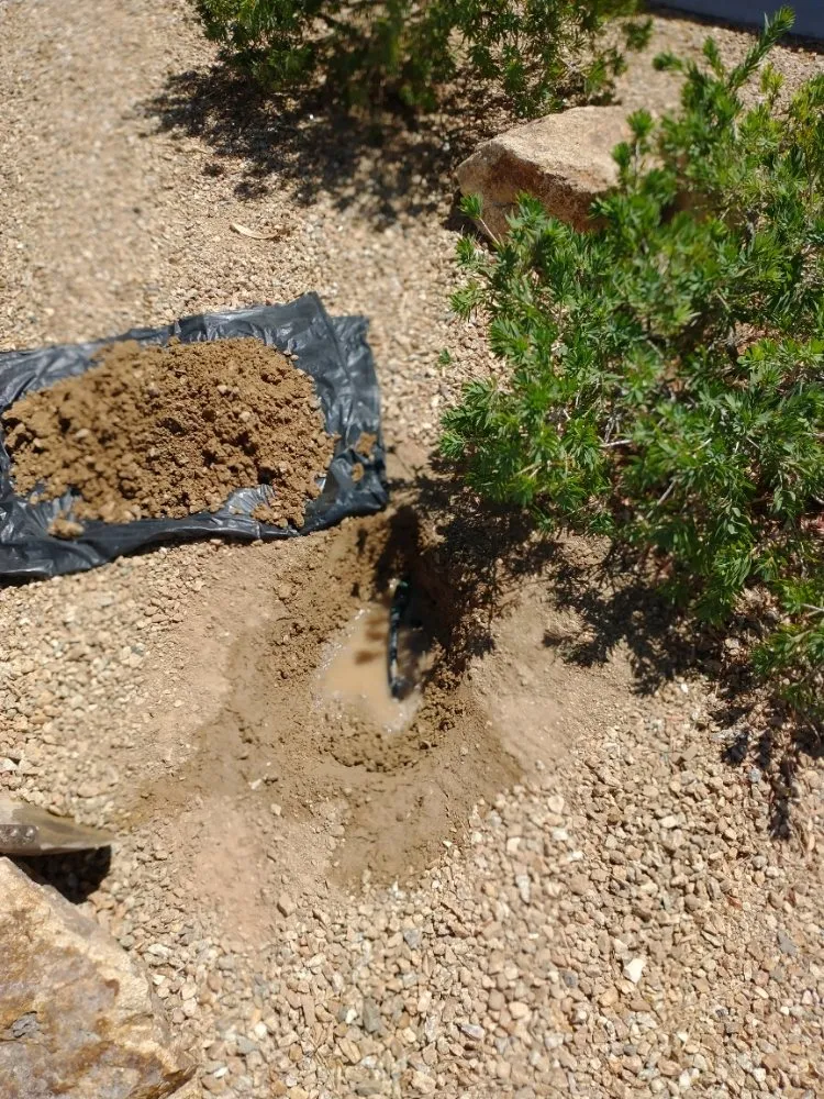 Affordable residential landscaping in Mesquite, NV - Total Home Care