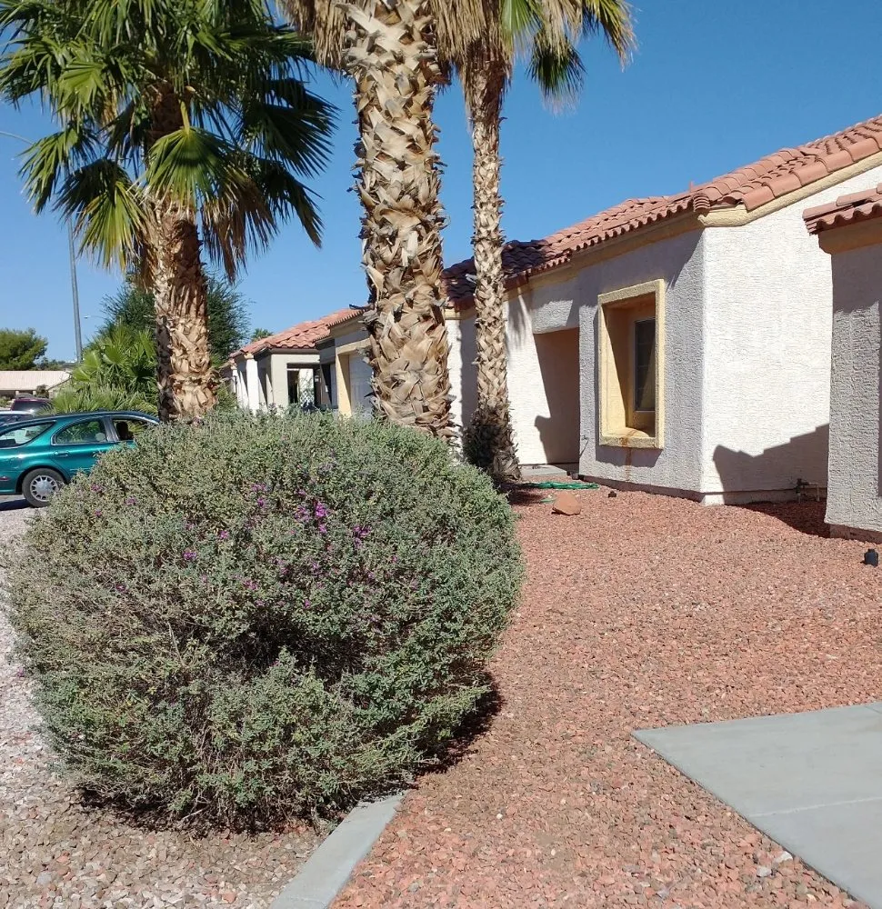 Affordable landscape design near you across Mesquite, NV - Total Home Care