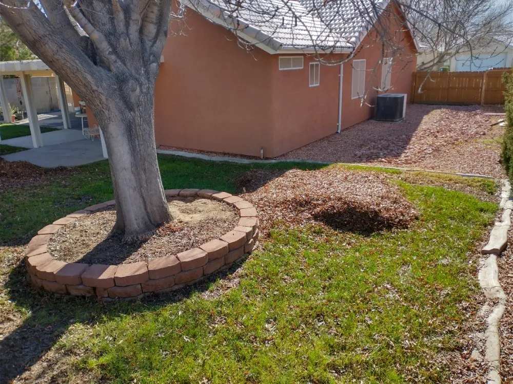 Custom residential landscaping for outdoor upgrades in Mesquite, NV by Total Home Care