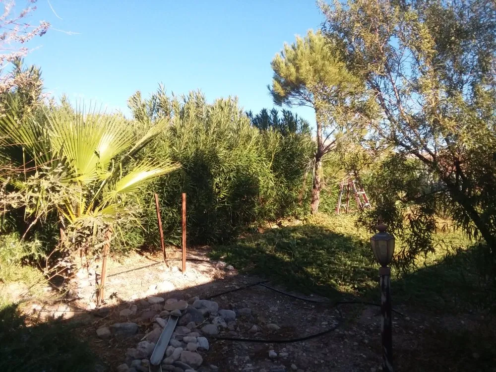 Professional garden landscaping in Mesquite, NV by Total Home Care