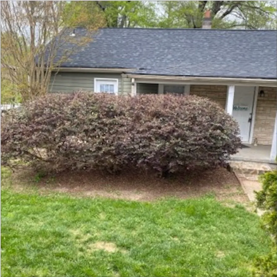 Local lawn care service for residential properties in Summerfield, NC by Total Home Care