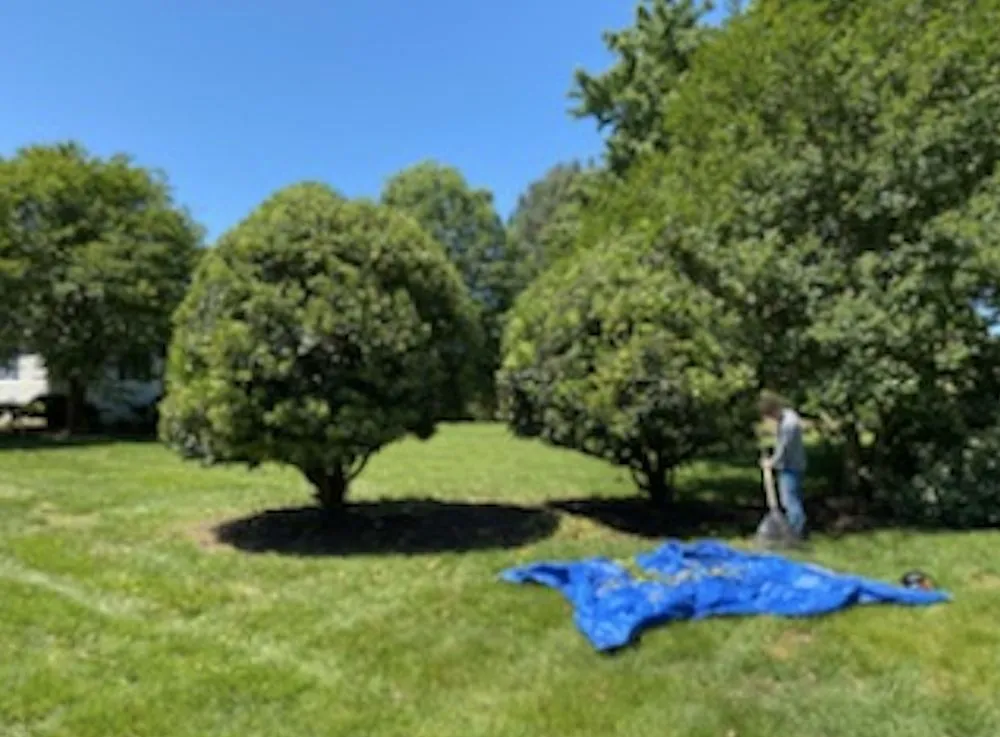 Professional outdoor landscaping near you across Summerfield, NC - Total Home Care