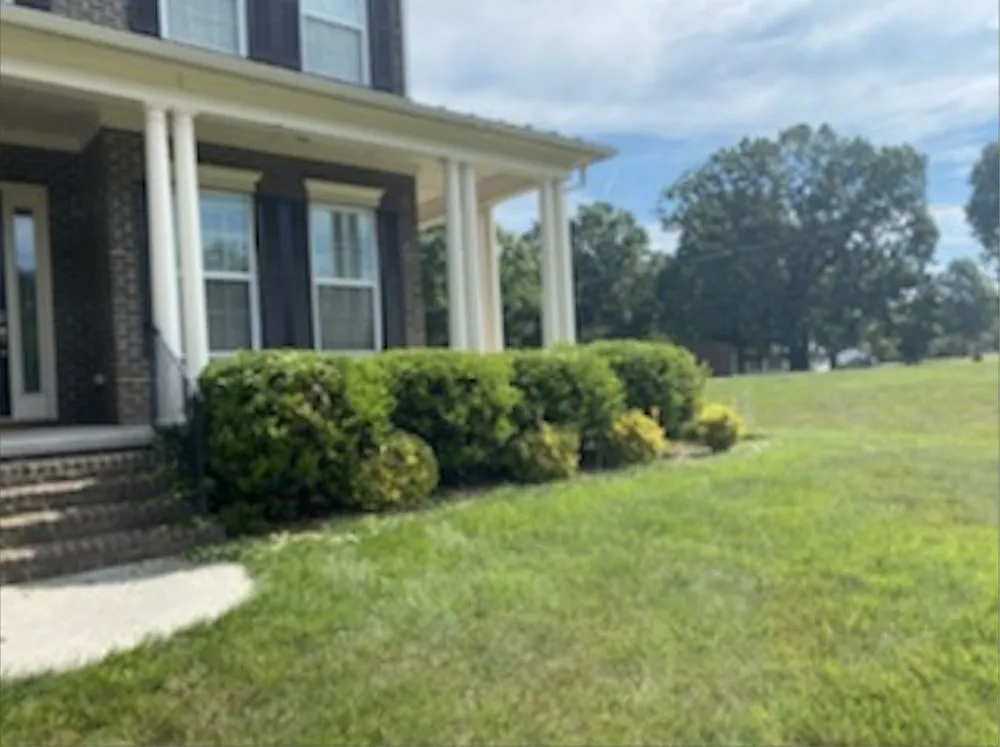 Reliable yard cleanup service experts serving Summerfield, NC - Total Home Care