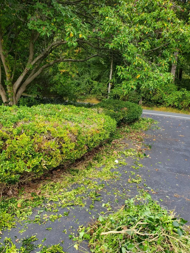 Custom yard maintenance in Manassas Park, VA - Total Home Pros
