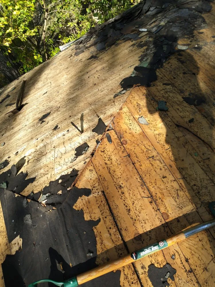 Professional residential landscaping experts serving Fort Dodge, IA - Total Home Rescue