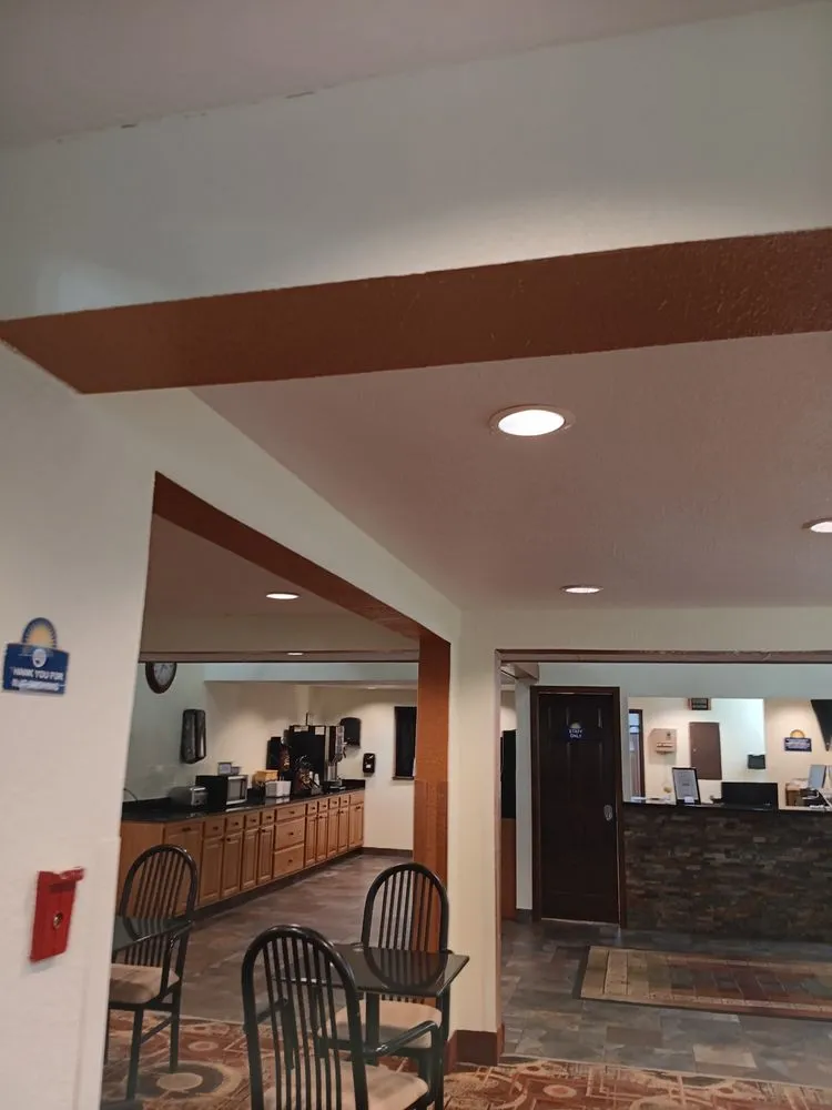 Expert yard cleanup service for outdoor upgrades in Fort Dodge, IA by Total Home Rescue