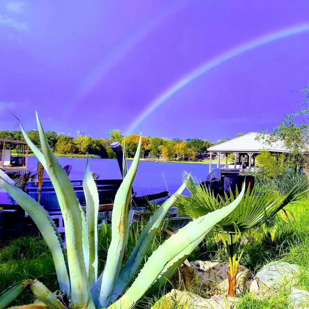 Top-rated residential landscaping for beautiful yards in Dallas, TX by Total Hydro Control