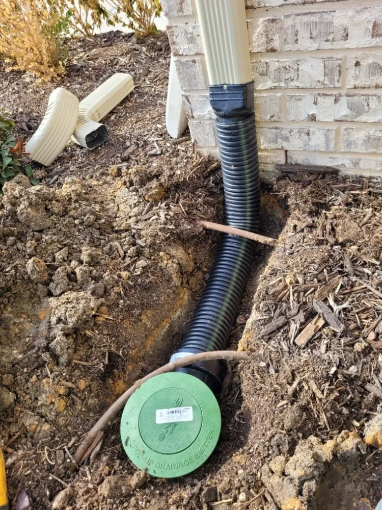 Top-rated landscaping services for year-round maintenance across Dallas, TX - Total Hydro Control