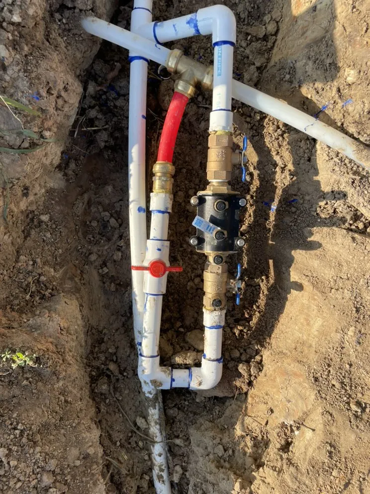 Professional yard cleanup service for year-round maintenance across Dallas, TX - Total Hydro Control