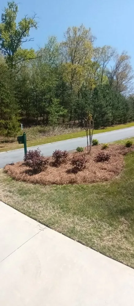 Professional outdoor landscaping in Toccoa, GA by Total Image Lawn Care