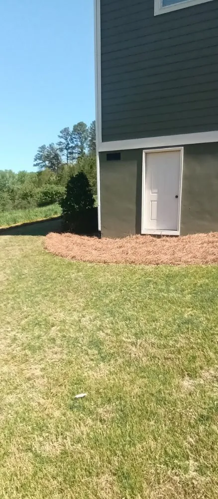 Top-rated yard maintenance experts serving Toccoa, GA - Total Image Lawn Care