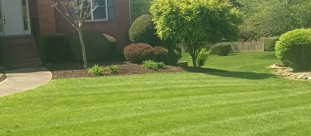 Trusted landscaping services for residential properties in Toccoa, GA by Total Image Lawn Care