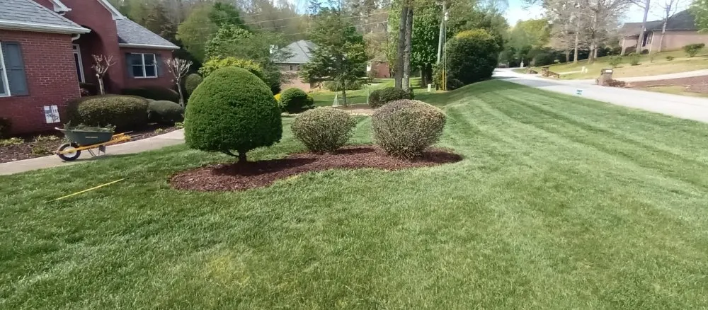 Custom lawn care service near you across Toccoa, GA - Total Image Lawn Care