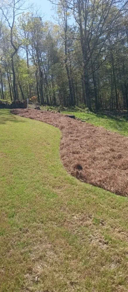 Custom outdoor landscaping experts serving Toccoa, GA - Total Image Lawn Care
