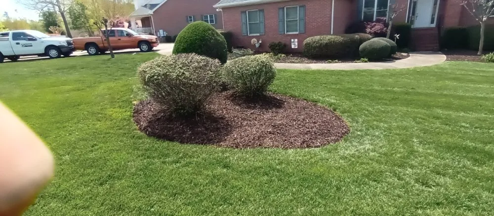 Local landscaping services near you in Toccoa, GA by Total Image Lawn Care