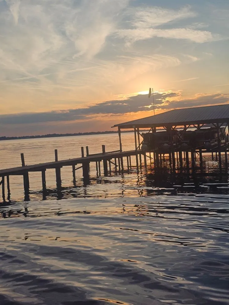 Top-rated landscaping services for residential properties in Orlando, FL by Total Junk Solutions