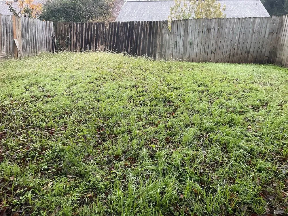 Affordable landscaping services for outdoor upgrades in Austin, TX by Total Land Care