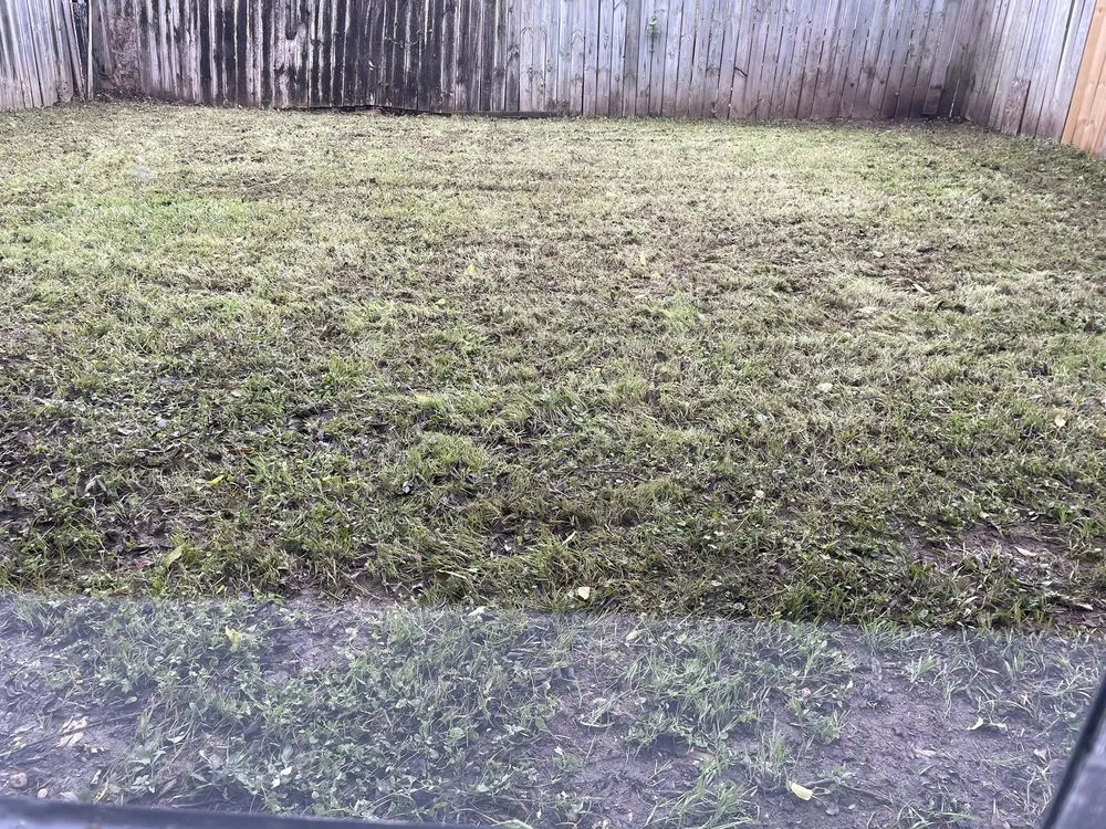 Local lawn mowing service in Austin, TX - Total Land Care