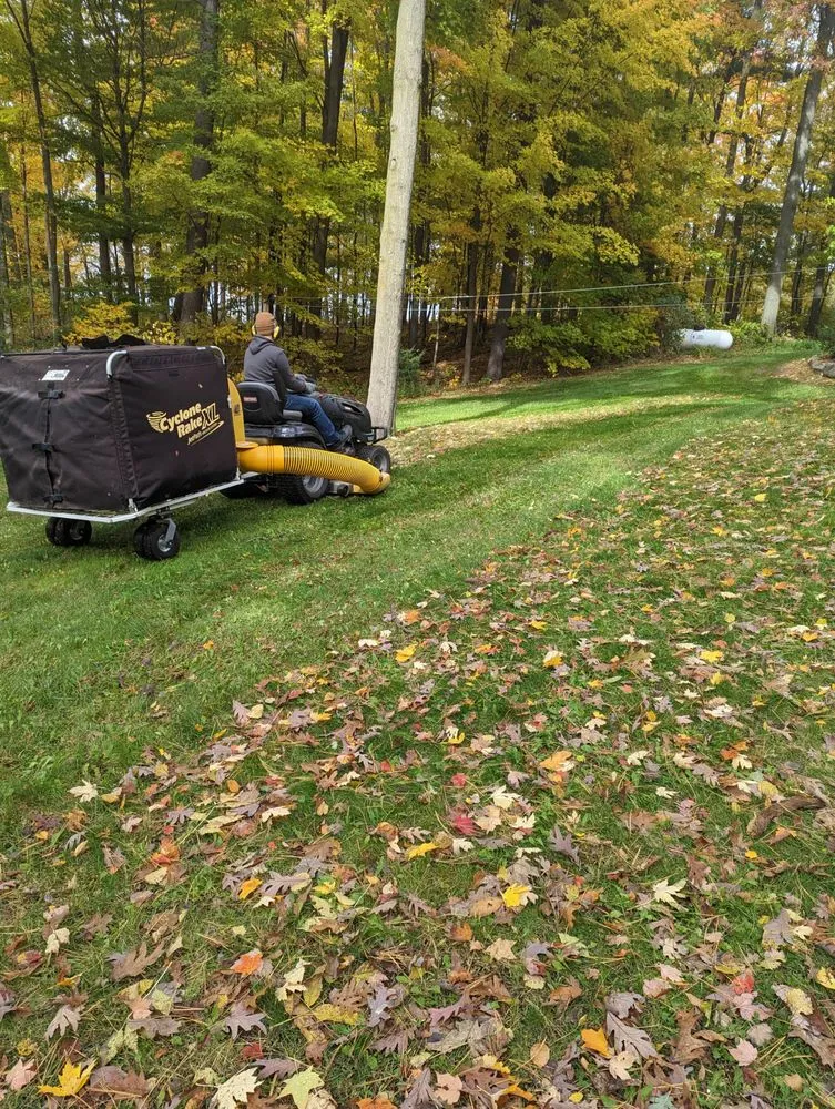 Reliable yard cleanup service for homes across Sand Lake, MI - Total Land Care