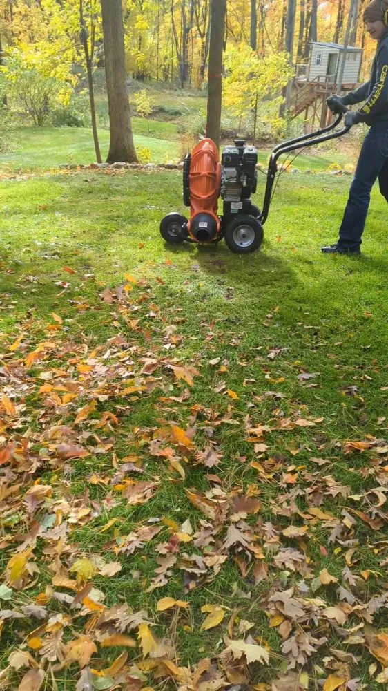 Professional yard maintenance experts serving Sand Lake, MI - Total Land Care