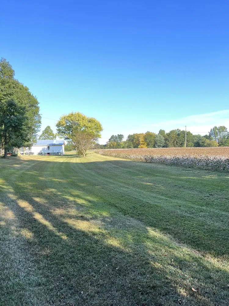 Affordable yard cleanup service experts serving Fyffe, AL - Total Land Control