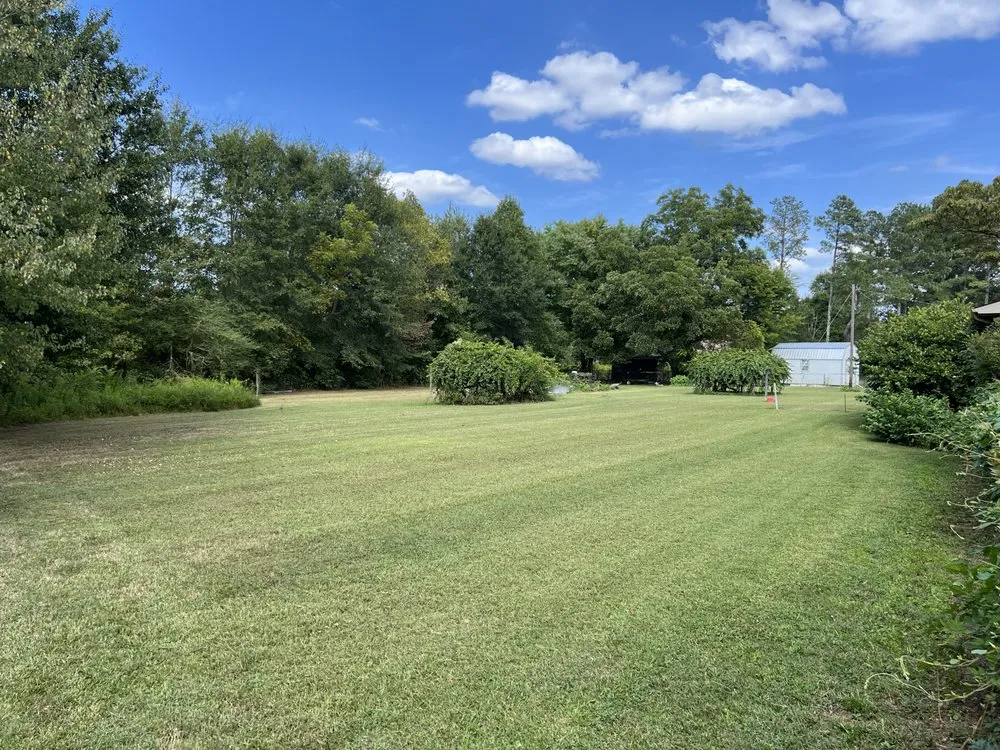 Local yard cleanup service near you in Fyffe, AL by Total Land Control