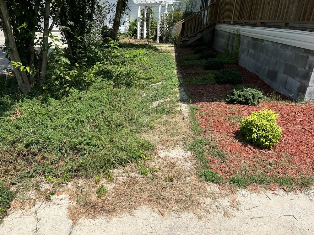 Custom lawn care service for residential properties in Fyffe, AL by Total Land Control