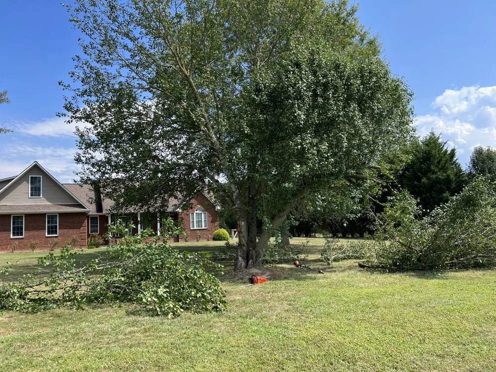 Trusted lawn mowing service in Fyffe, AL - Total Land Control