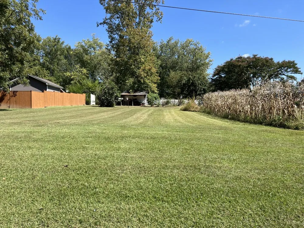 Affordable yard maintenance in Fyffe, AL by Total Land Control
