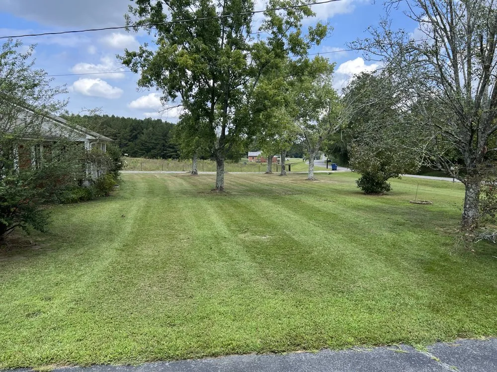 Custom landscape design in Fyffe, AL by Total Land Control