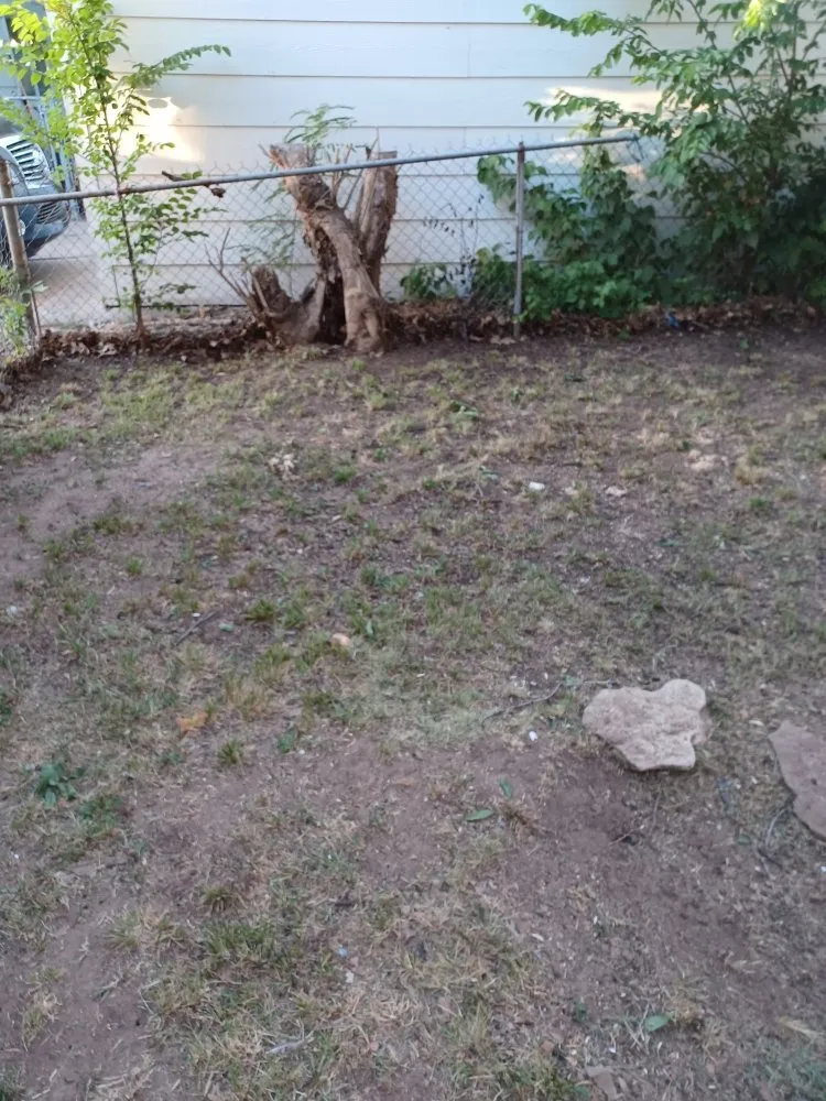 Top-rated yard maintenance near you across Ponca City, OK - Total Land Solutions