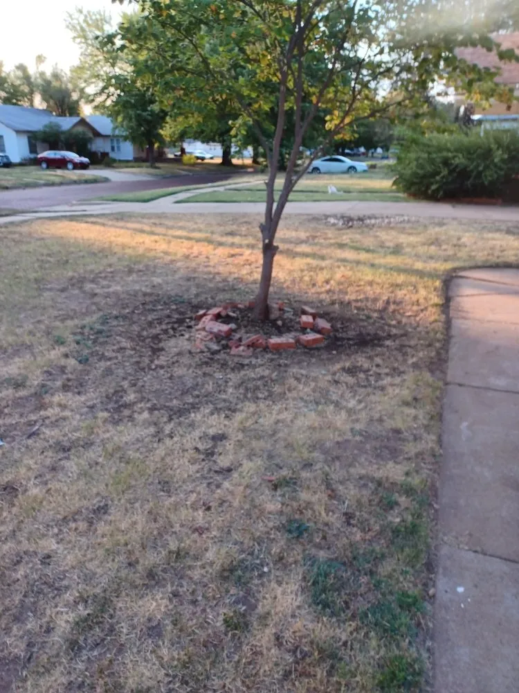 Affordable residential landscaping in Ponca City, OK by Total Land Solutions
