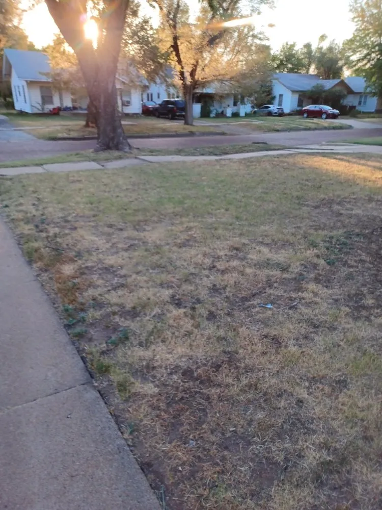 Top-rated lawn care service for homes across Ponca City, OK - Total Land Solutions